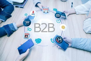 2018年美國B2B電商市場(chǎng)報(bào)告 食品加工通用設(shè)備行業(yè)深度解析