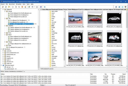 揭秘《Extreme Picture Finder》官方中文版v3.53.3 批量下載網頁圖片的最強助手